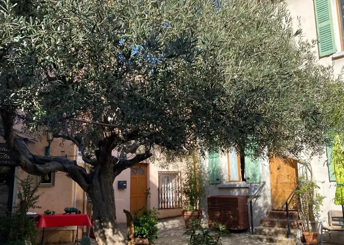 St Raphael Centre Calme Clim Commerces A Pieds *